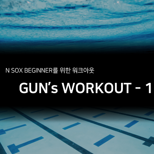 N SOX 초급자를 위한 N SOX WORKOUT (GUN&#039;s SET 1)