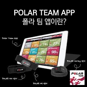[폴라] POLAR TEAM APP 폴라 팀 앱이란?